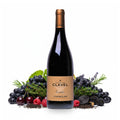 2017 Domaine Clavel Cotes du Rhone Villages Chusclan Cordelia - Frankreich - Liwaldo