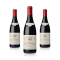 2021 Famille Perrin Gigondas Domaine du Clos des Tourelles - Frankreich