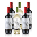 Feinste-Weine Miguel Torres Chile - Probierpaket  - 3 x 2 Chilenische Weine im Tasting Paket  (6x0,75l)